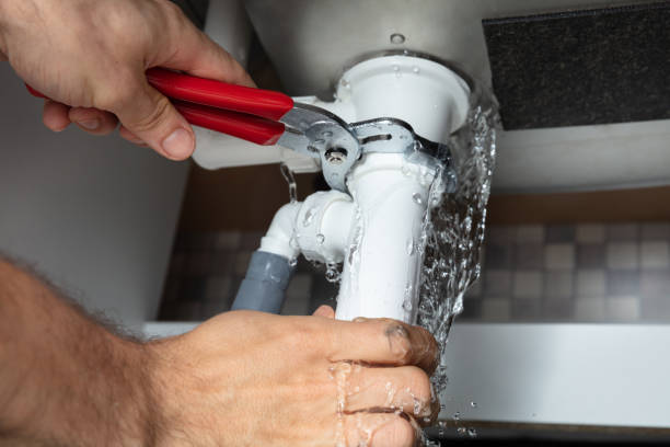 Best Water damage cleanup near me  in Muse, PA