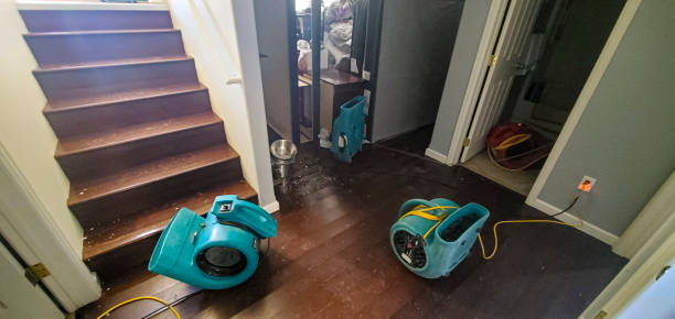 Best Water damage restoration near me  in Muse, PA