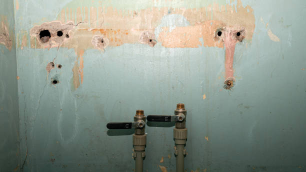 Best Sewage cleanup and water damage restoration  in Muse, PA