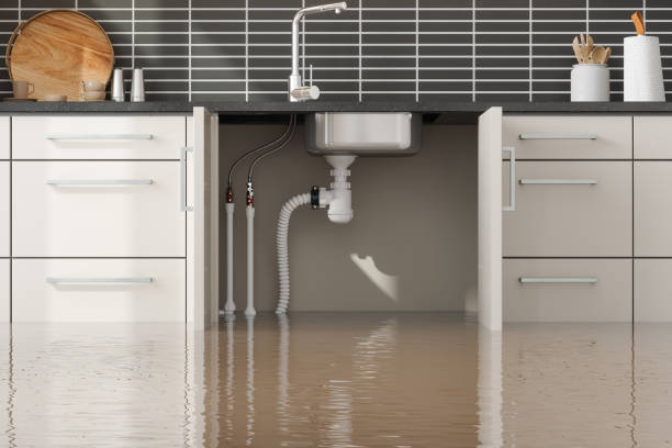 Best Water damage restoration cost  in Muse, PA